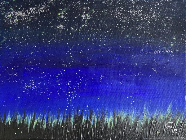 Lucioles ou étoiles