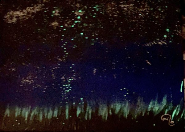 Lucioles ou étoiles – Image 2