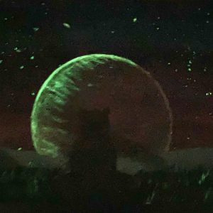 Chat zen – Image 2