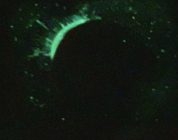 Éclipse magique – Image 2